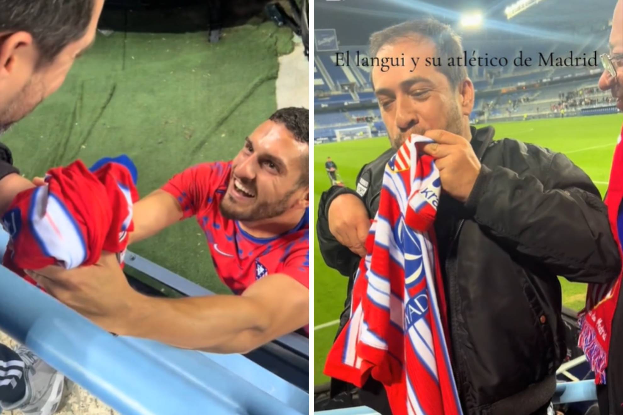 众多年轻球 众多年轻球