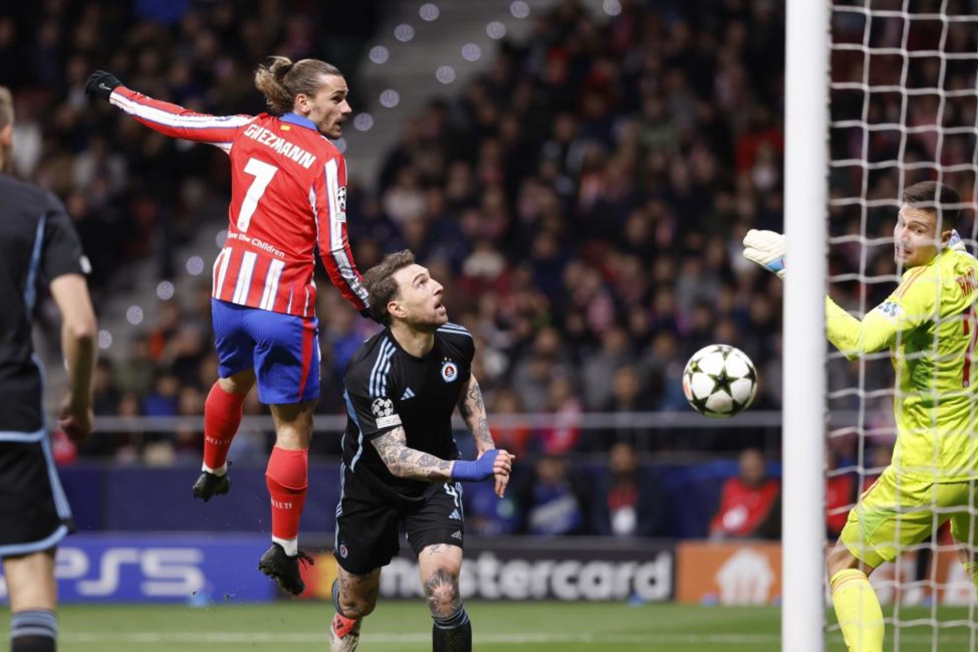 队进入季后 队进入季后