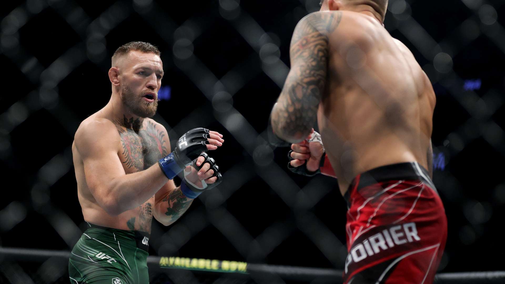 文化和社会 文化和社会