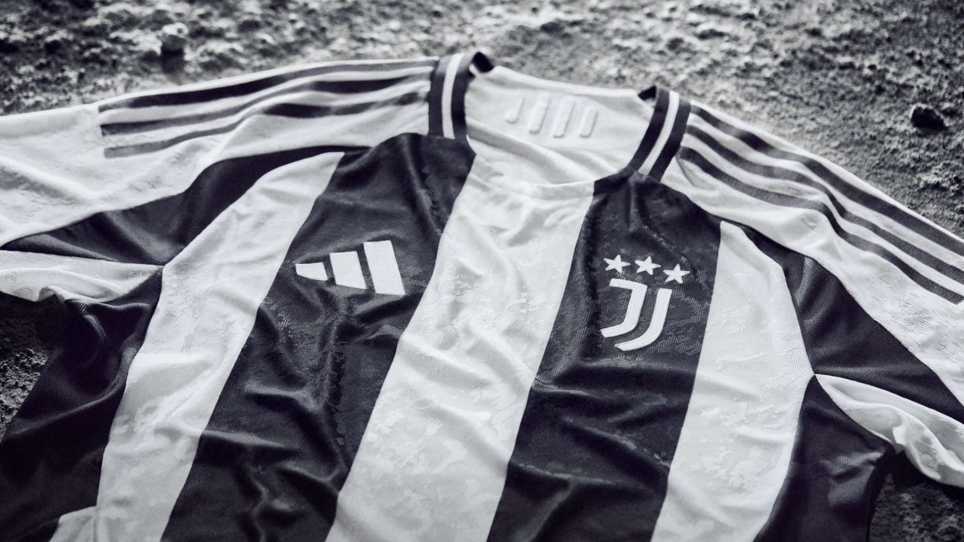 们带来新的 们带来新的