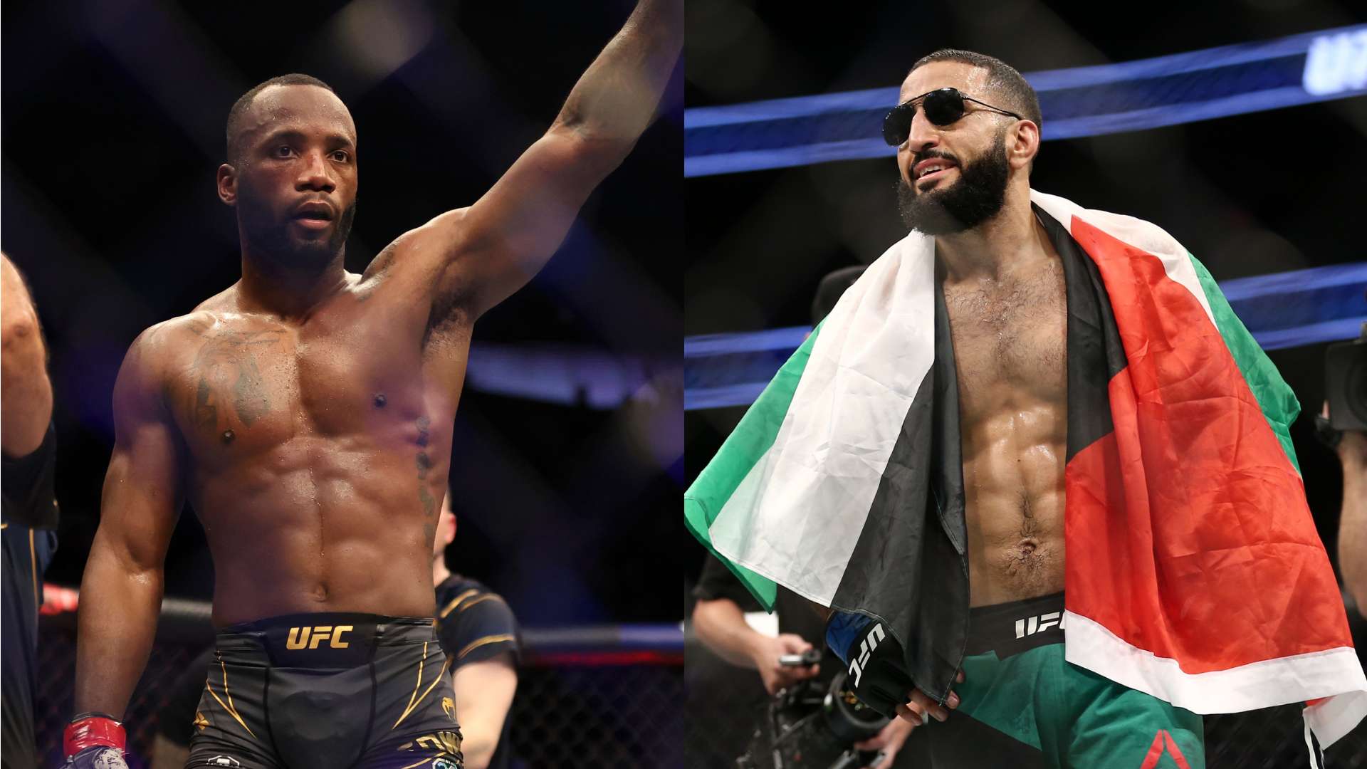 的年轻球员 的年轻球员